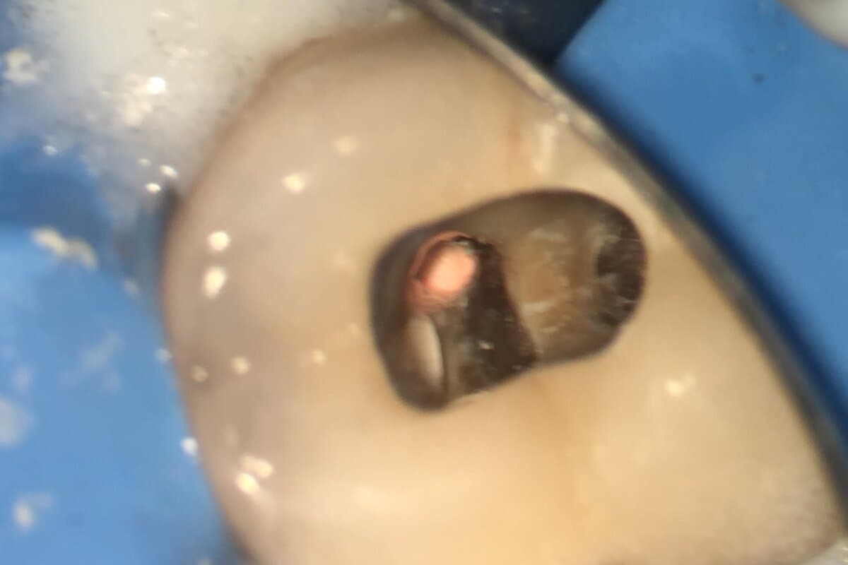 Effiziente Endo-Konzepte, smarte Technologien und Fortbildung